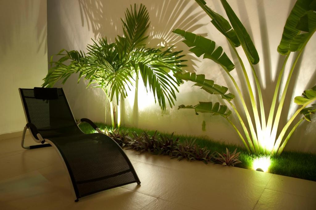Casa Felicidad B&B Room & Kitchen Playa del Carmen Dış mekan fotoğraf