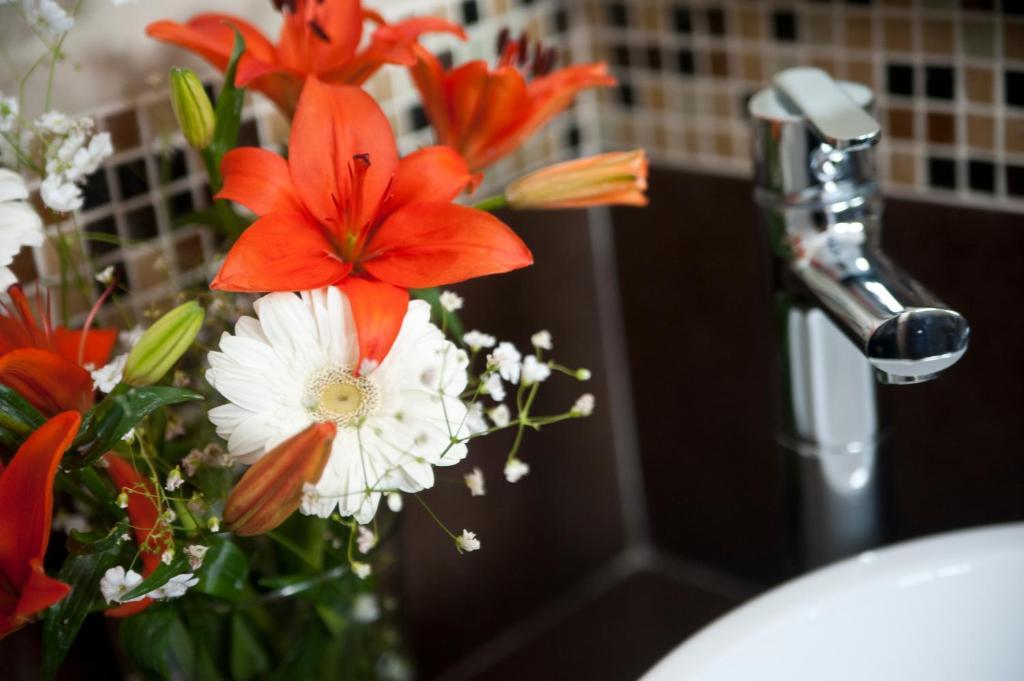 Casa Felicidad B&B Room & Kitchen Playa del Carmen Oda fotoğraf